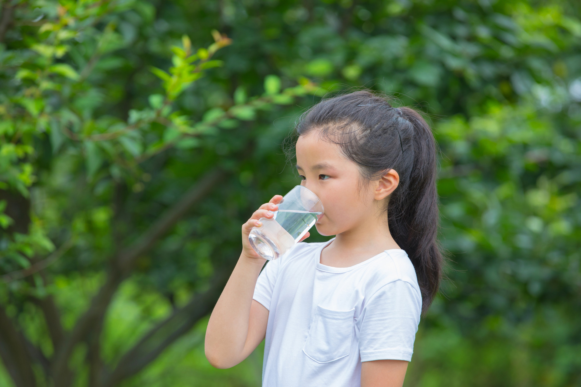 兒童飲還原水